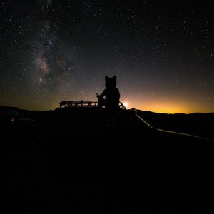 Gazing at the Milky Way in Joshua Tree.