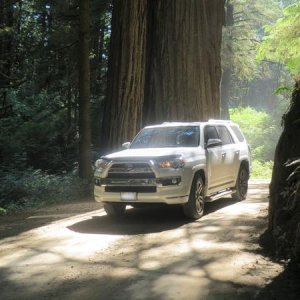 Howland Hill Rd, Crescent City, CA