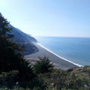 DSC 0239