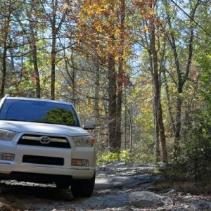 Charlie's creek rd. NE Georgia.