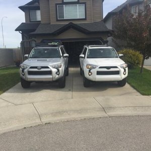 twins