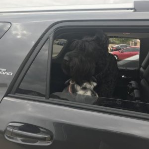 get your own window sister