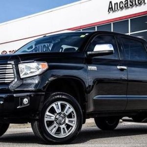 Big brother Tundra Platinum