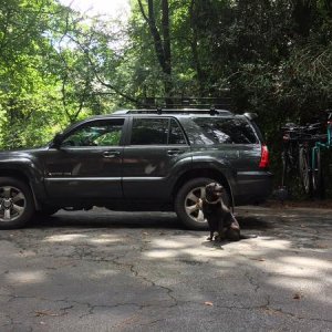 Pup & Truck