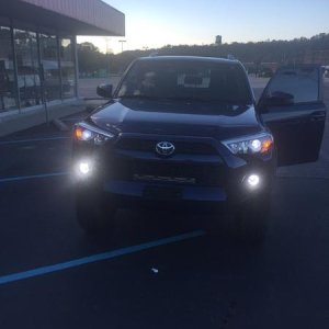 LED Fogs and Low Beams