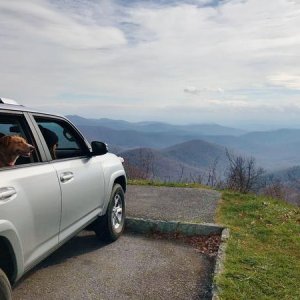 Overlook on the Blue Ridge Parkway, Pisgah NF