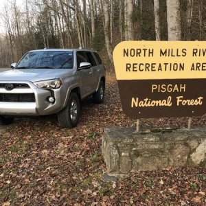Pisgah NF, North Carolina