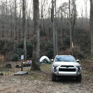 Yellow Gap Road roadside camping, Pisgah NF