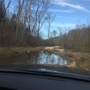TN Dirt Devil