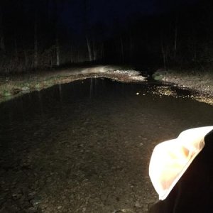 TN Dirt Devil 7