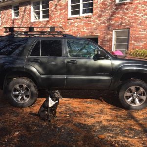 New Lift
