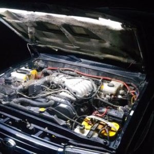 Hood light