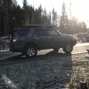 Christmas tree run outside of Mt Rainer