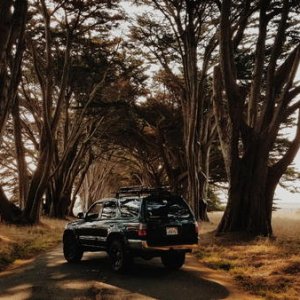 Point Reyes, CA