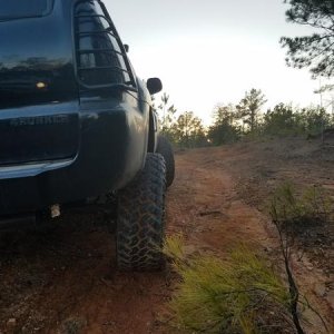Rear shot