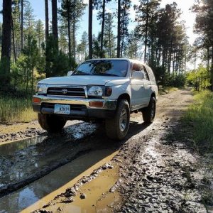 1998 4Runner