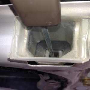 IMG 4539