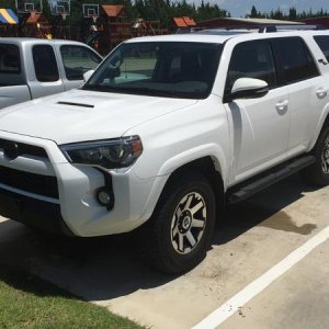 front view plastidip