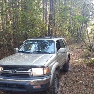 Trail Riding