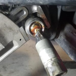 Remove ITR