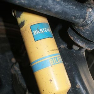 rear bilsteins