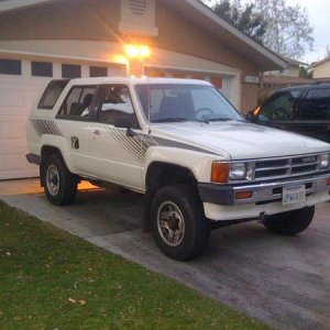 The day I brought her home