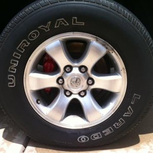 photo (6)
