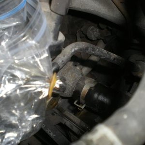I capped the 'return' line from the rack/pinion steering below so it would not drain out as I was setting up my work place.