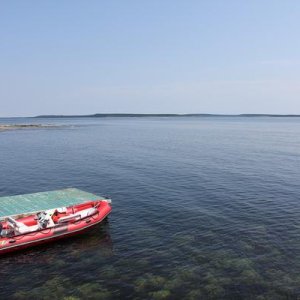 IMG 4859