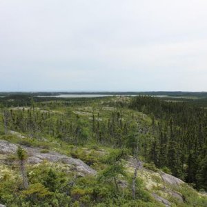 IMG 4839