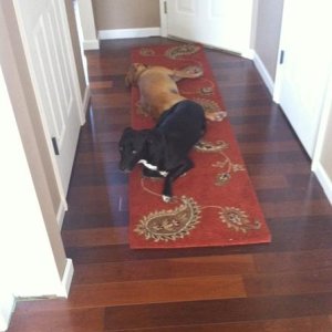 photo (5)
