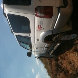 Rock Warrior sticker- Pre window tint.