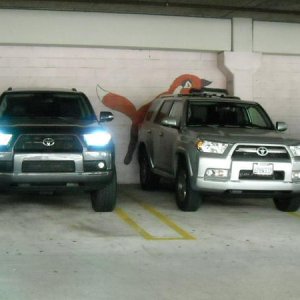 next to little brother