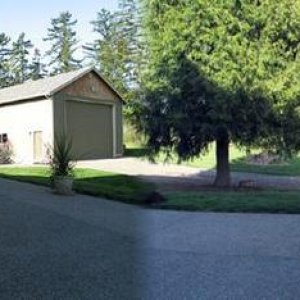 Backyard Panoramic web