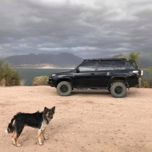 Roosevelt Lake, AZ