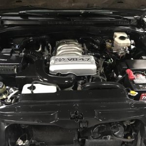 Cleaned engine bay.