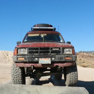 IMG 9913