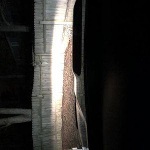 new beam pattern from H9-H11 conversion & fog light leds