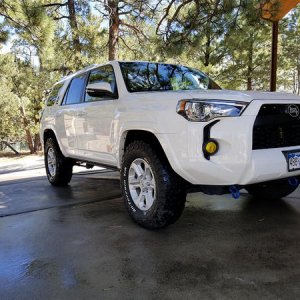 All Clean
