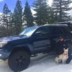 snow run to MET