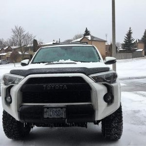 APRIL ICE (9)