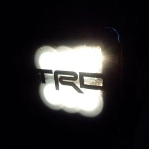 Ditch Light Smoked cover