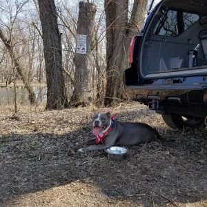 4Runner Meadows 04 14 2018