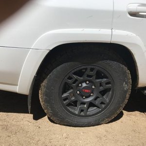 Flex 2