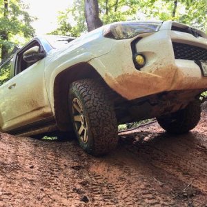 Horseshoe Gulch
