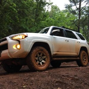 MudJambo18