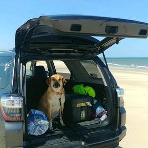 Corolla, NC
