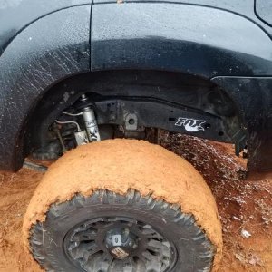 The rear with fj lift coils and the fox resi's