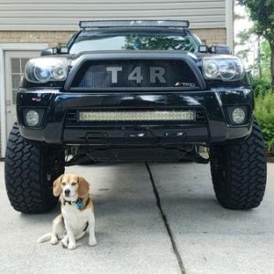 Rare picture of a 4runner and a Bentley