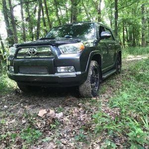 First Time In The Woods
